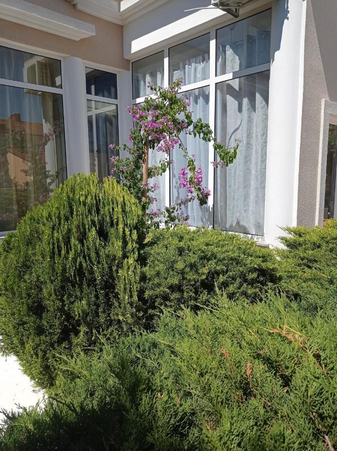 Villa Gregovica &T 2 Pula Eksteriør billede